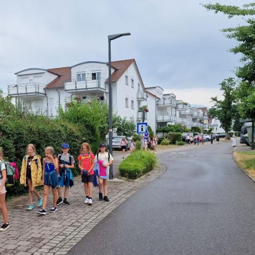 Fahrt zum Pfahlbaumuseum