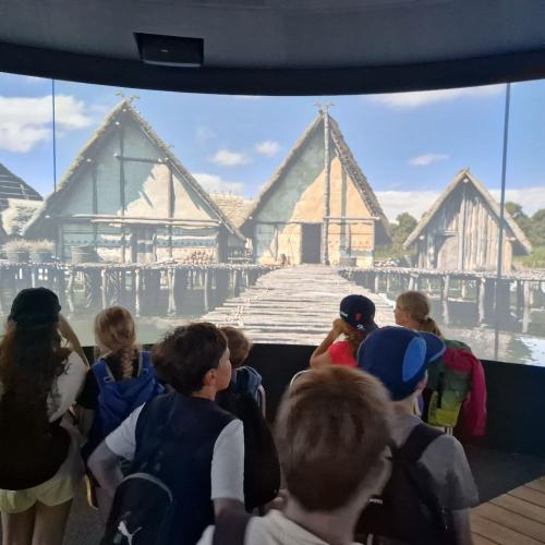 Fahrt zum Pfahlbaumuseum